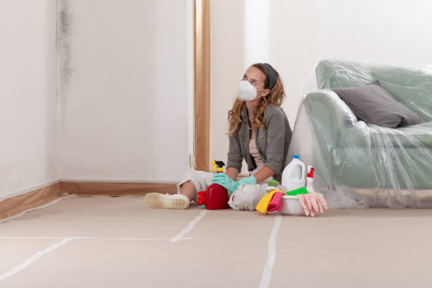 Reliable Mold Cleanup contractor in Winchester, IL by WQB Mold Removal